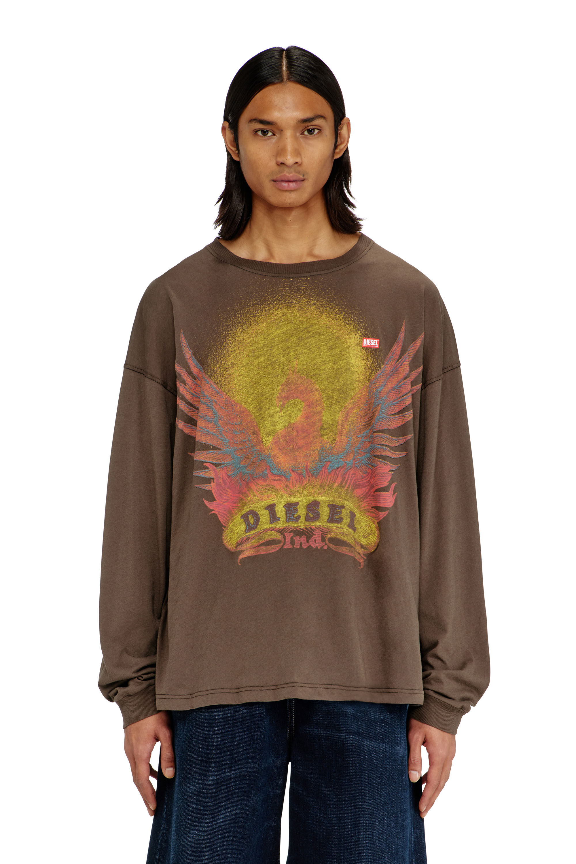Diesel - T-BOXT-LS-AA1, Man's Long sleeve T-shirt with Phoenix graphic in Brown - 3