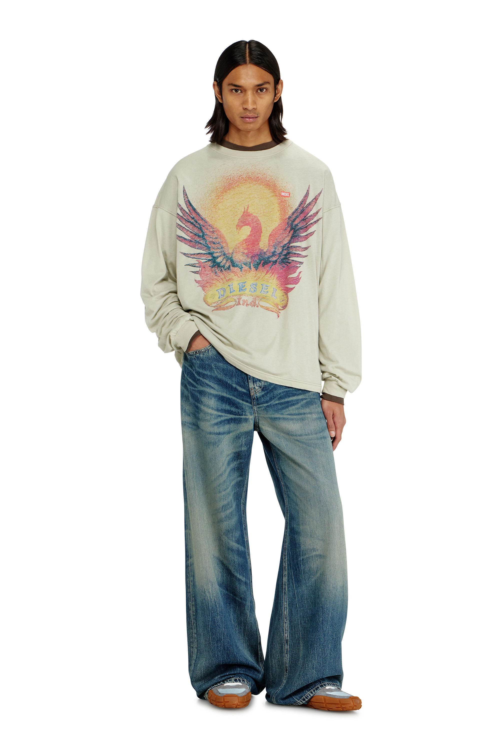 Diesel - T-BOXT-LS-AA1, Man's Long sleeve T-shirt with Phoenix graphic in Beige - 1