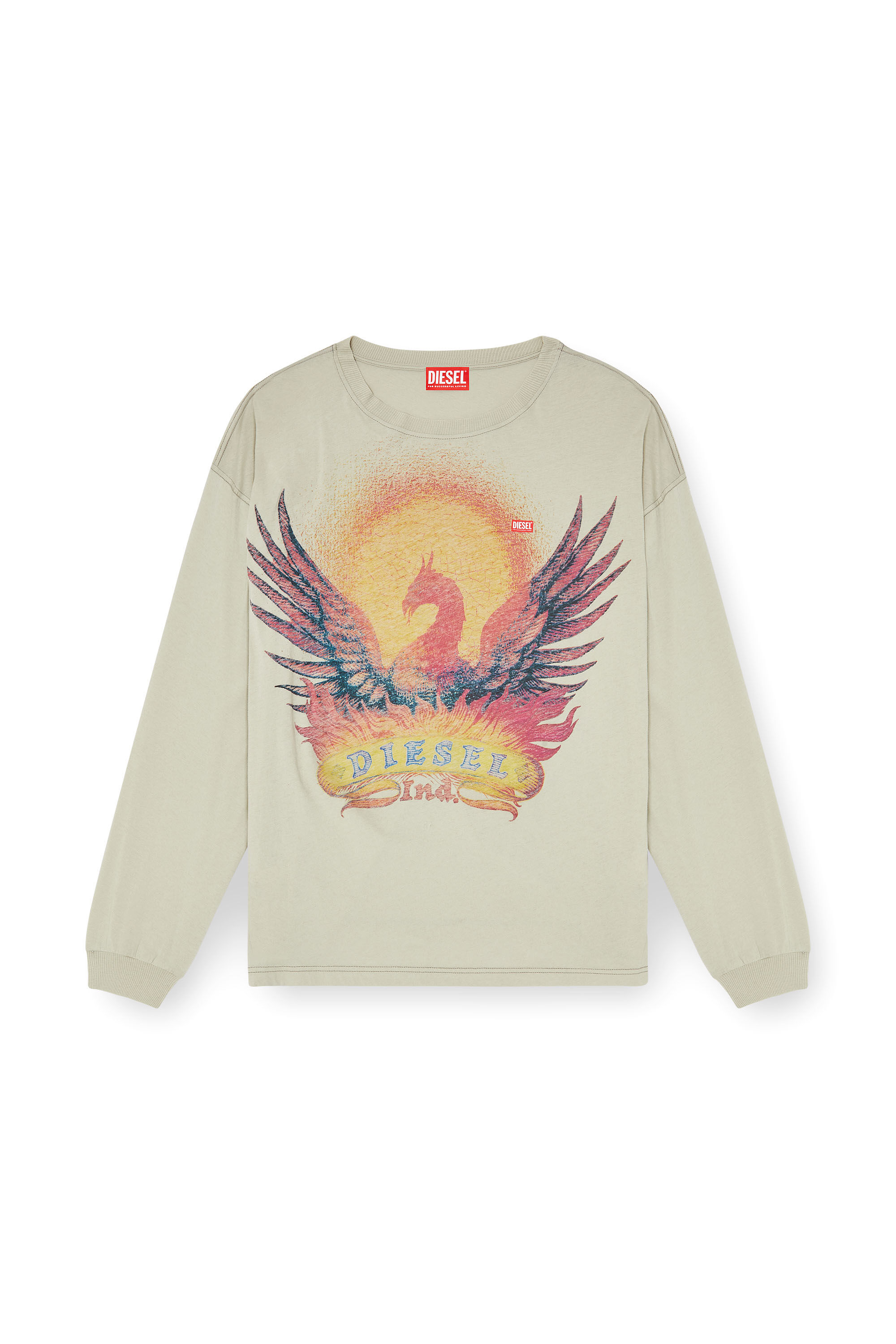 Diesel - T-BOXT-LS-AA1, Man's Long sleeve T-shirt with Phoenix graphic in Beige - 2