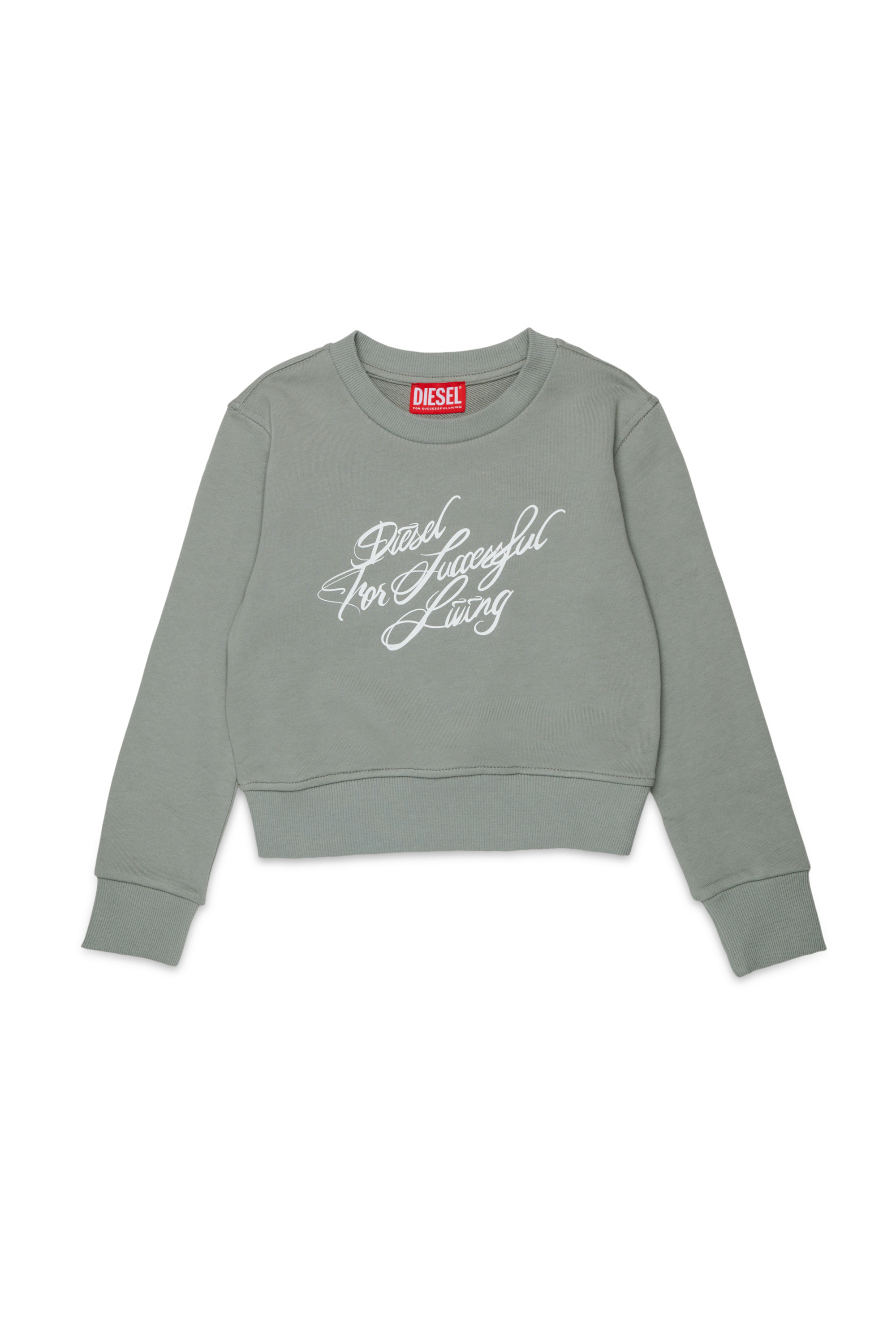 Diesel - SCRIPT, Woman's Cropped sweatshirt with script print in Grey - 1