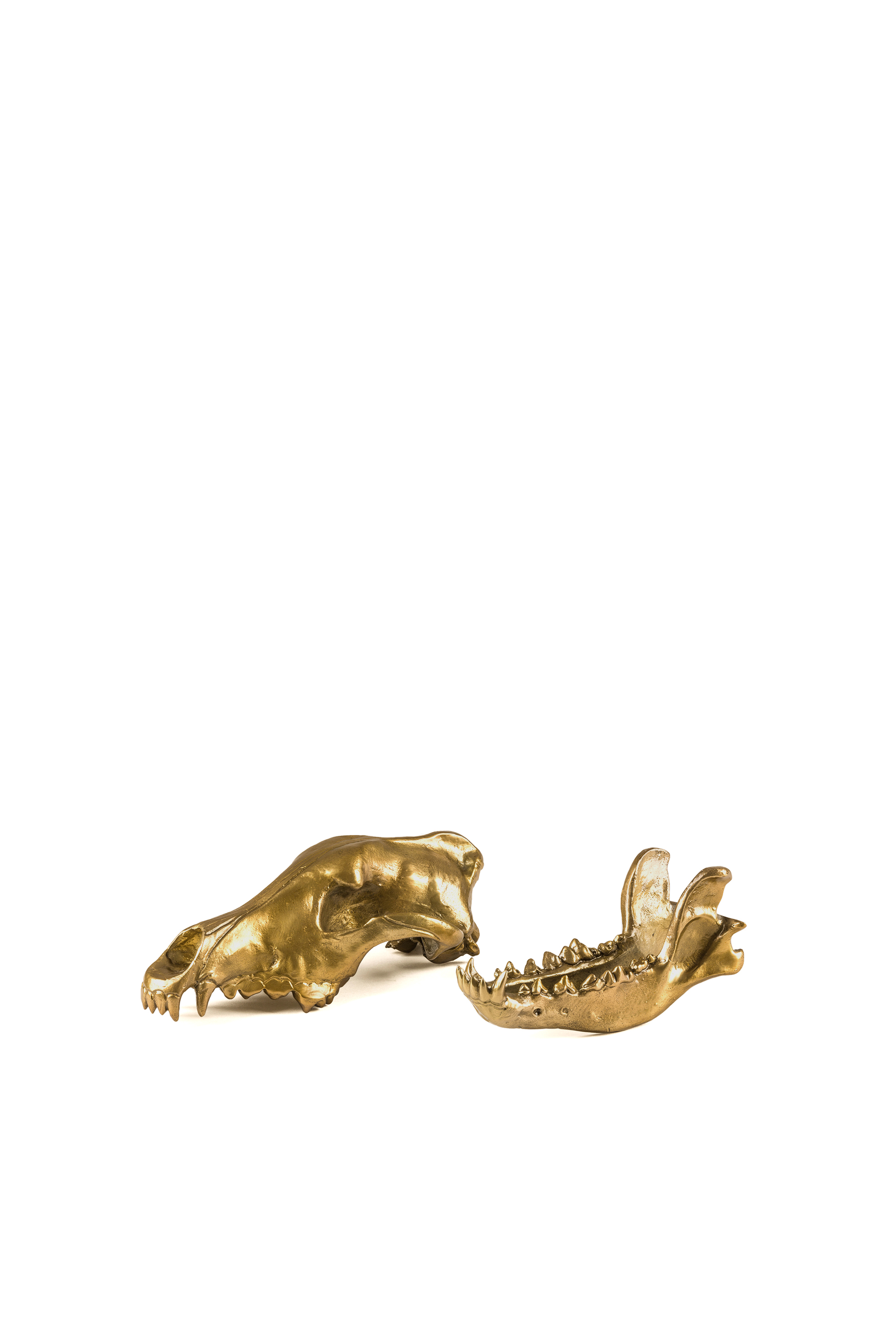 Diesel - 10892 Wunderkammer, Gold - Image 4
