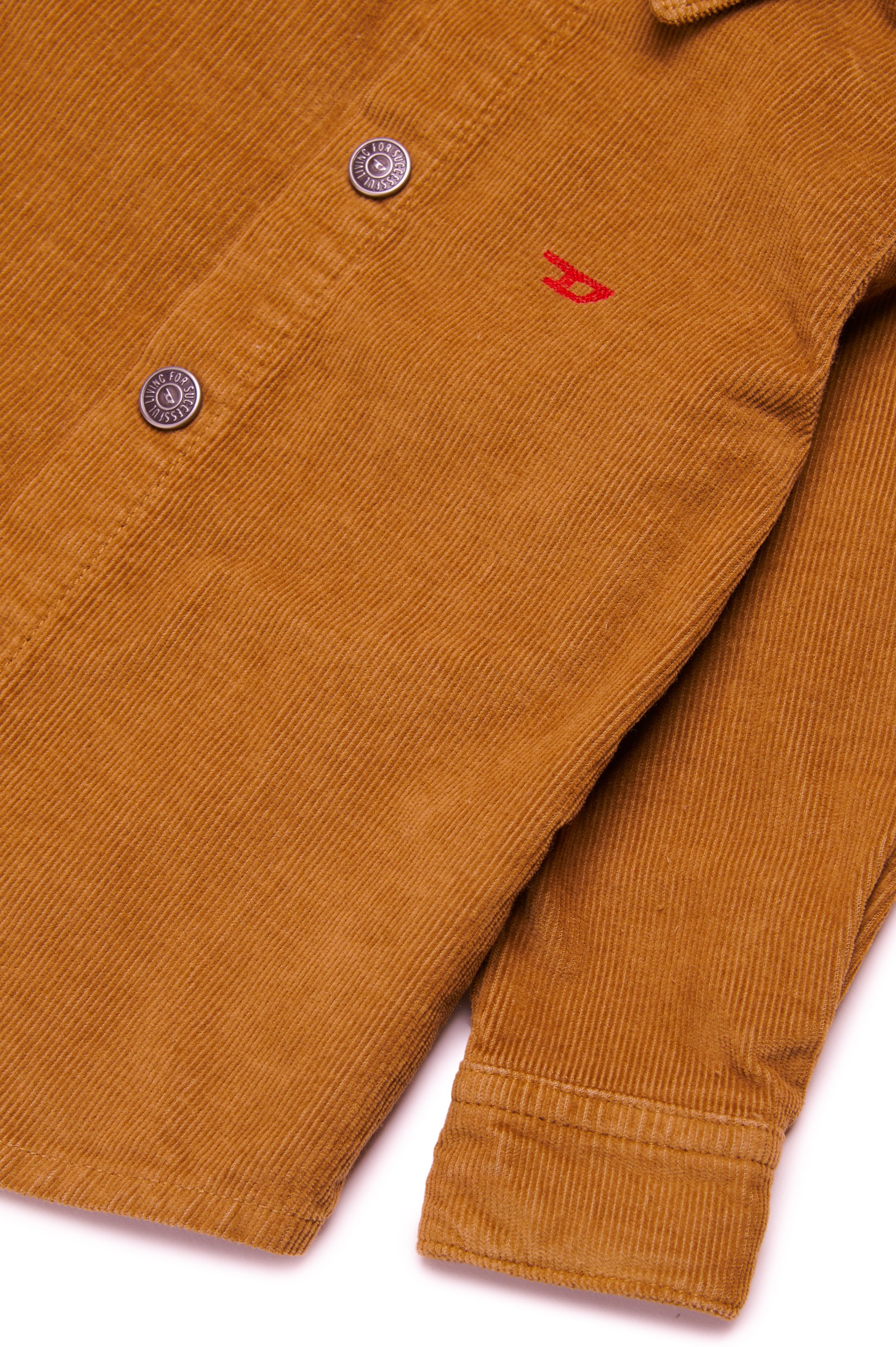 Diesel - CHIPYB, Man Corduroy shirt with small D logo in Brown - Image 4